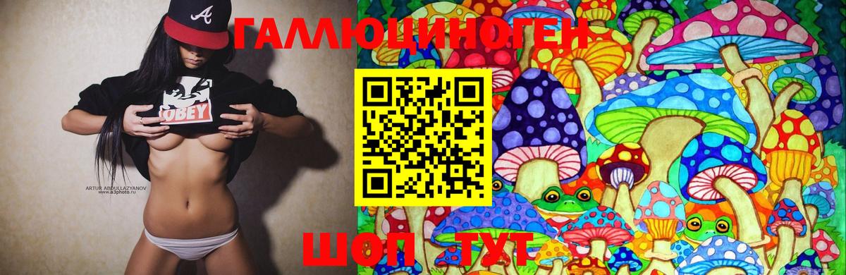 Лесосибирск  Псилоцибиновые грибы Cubensis  Вход с VPN  Псилоцибиновые грибы MAGIC MUSHROOMS 
